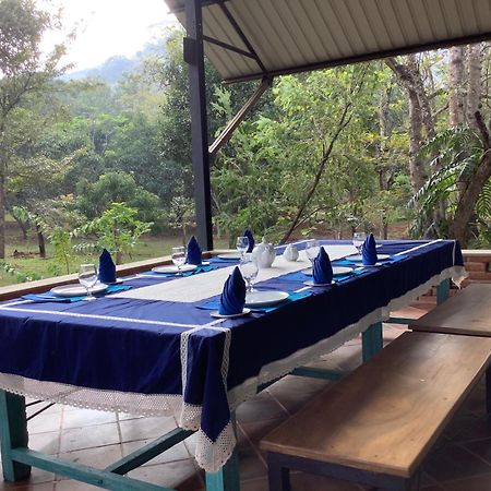 Mind Body And Soul Hotel Dambulla Luaran gambar