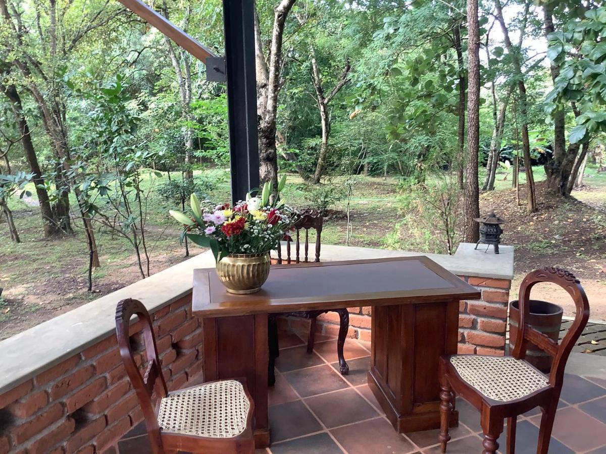 Mind Body And Soul Hotel Dambulla Luaran gambar