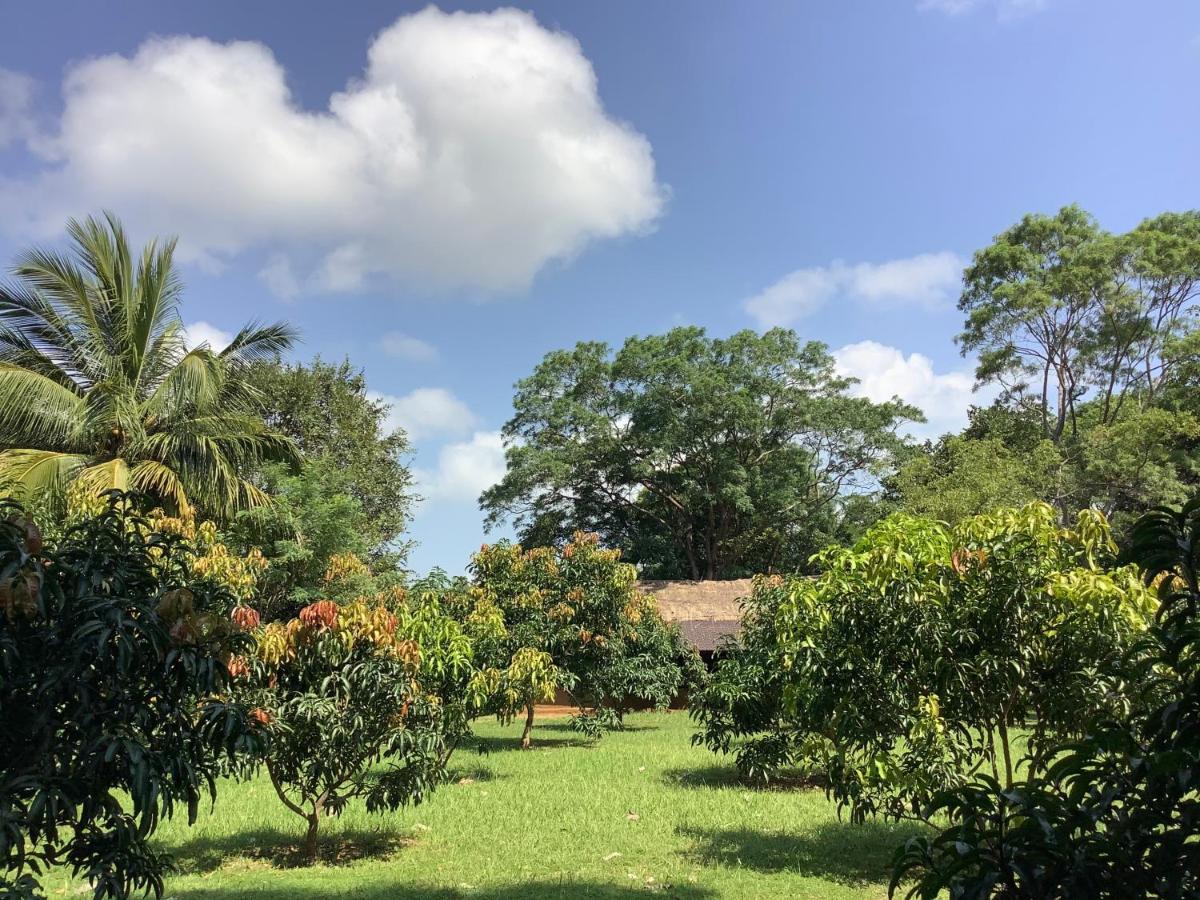 Mind Body And Soul Hotel Dambulla Luaran gambar