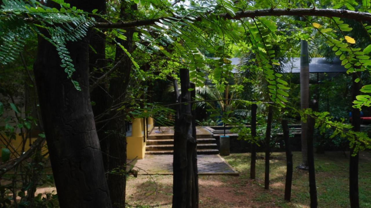 Mind Body And Soul Hotel Dambulla Luaran gambar