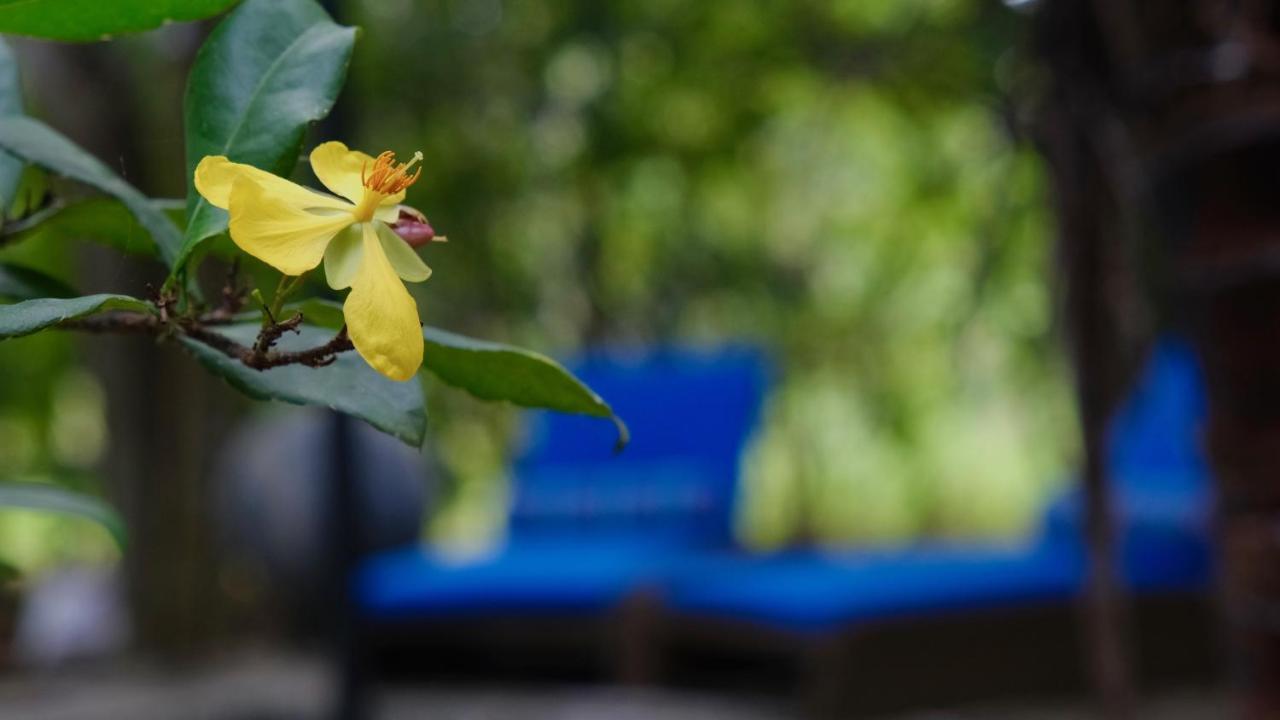 Mind Body And Soul Hotel Dambulla Luaran gambar