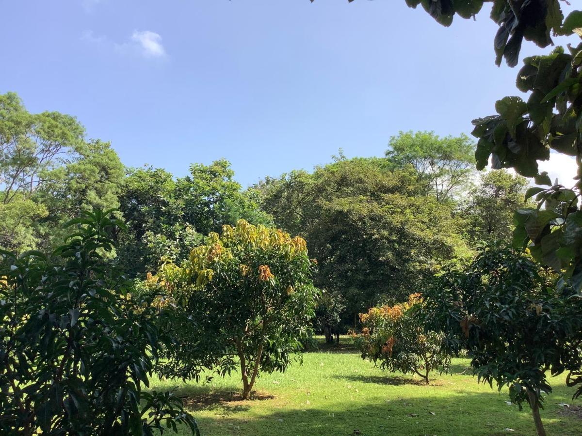 Mind Body And Soul Hotel Dambulla Luaran gambar