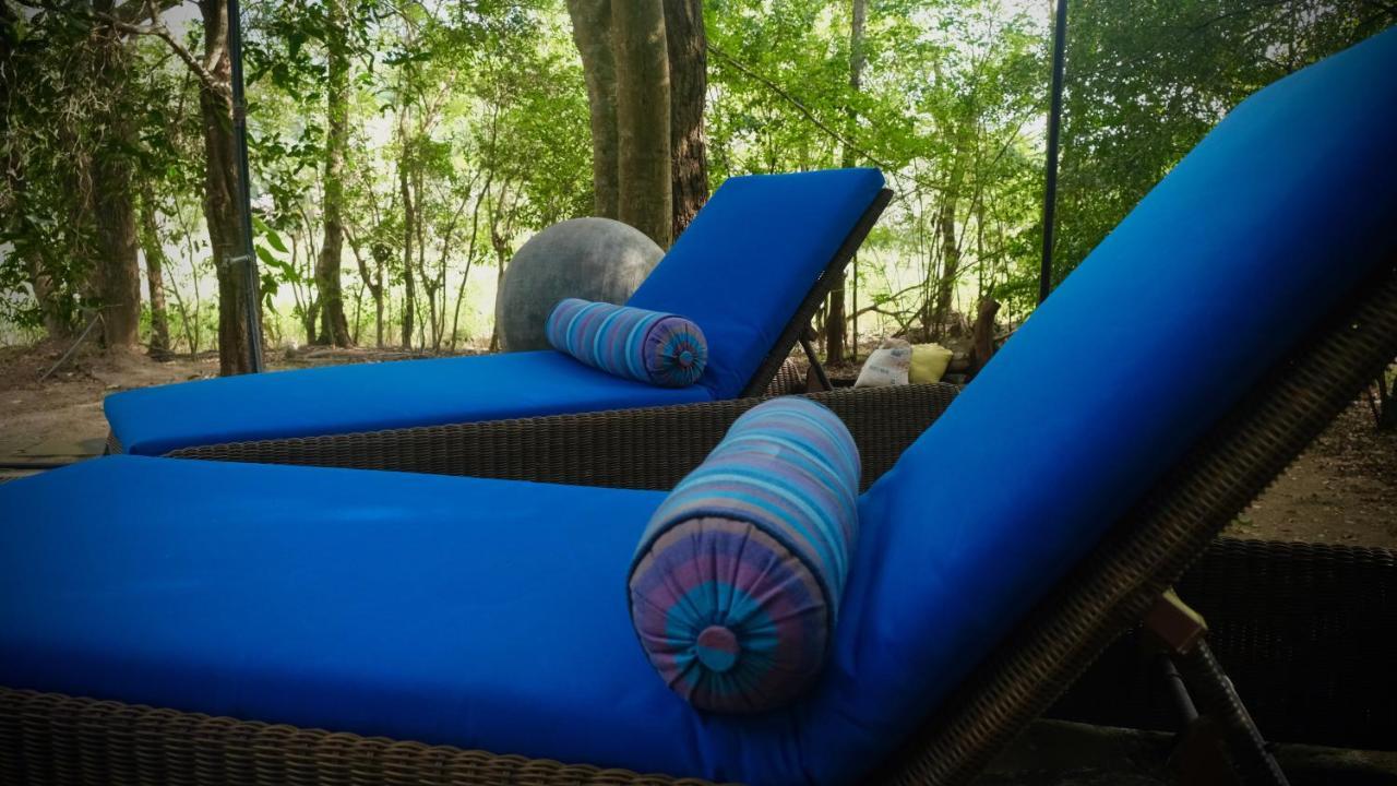 Mind Body And Soul Hotel Dambulla Luaran gambar