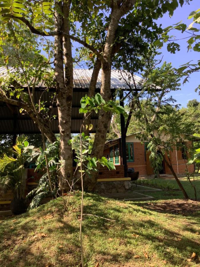 Mind Body And Soul Hotel Dambulla Luaran gambar