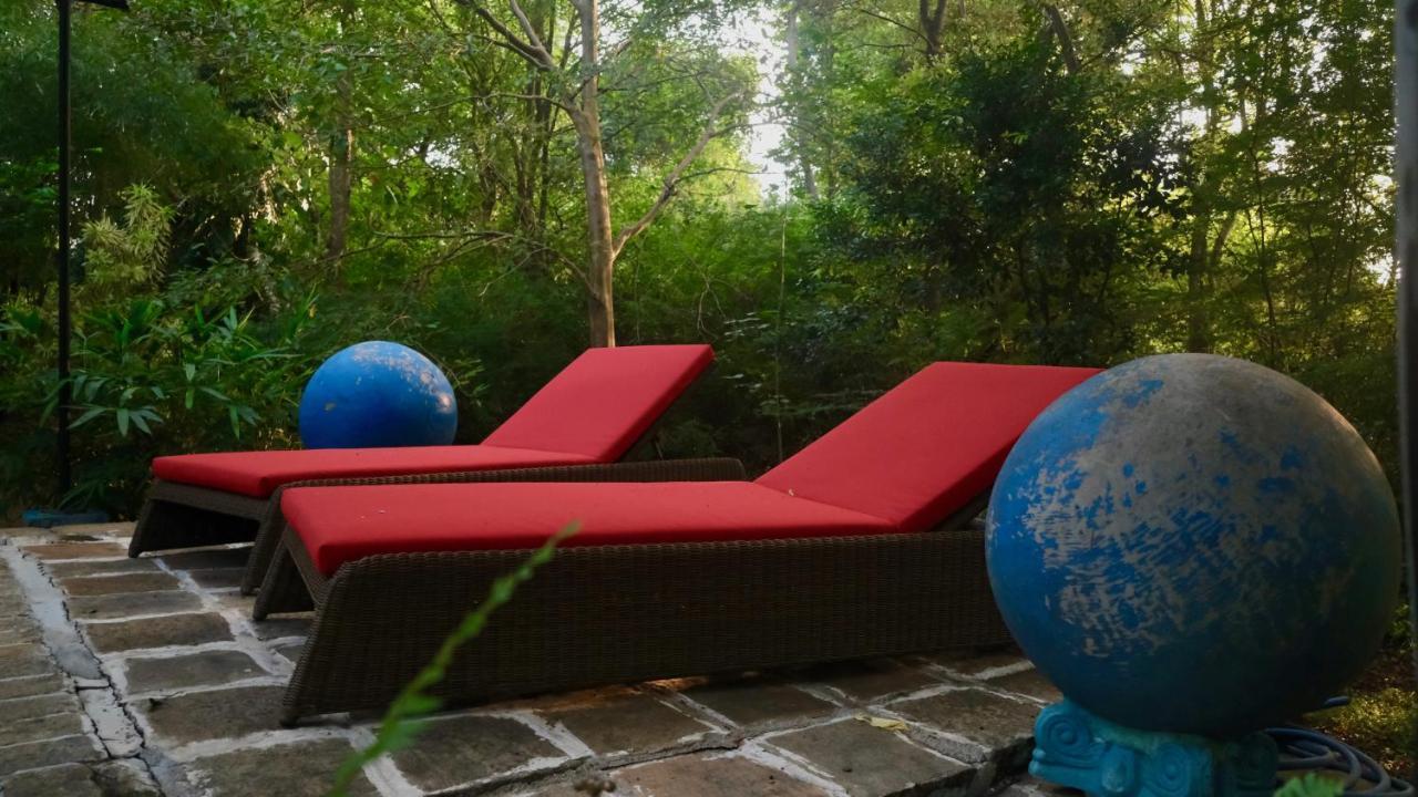 Mind Body And Soul Hotel Dambulla Luaran gambar