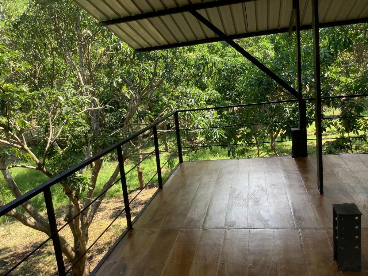 Mind Body And Soul Hotel Dambulla Luaran gambar