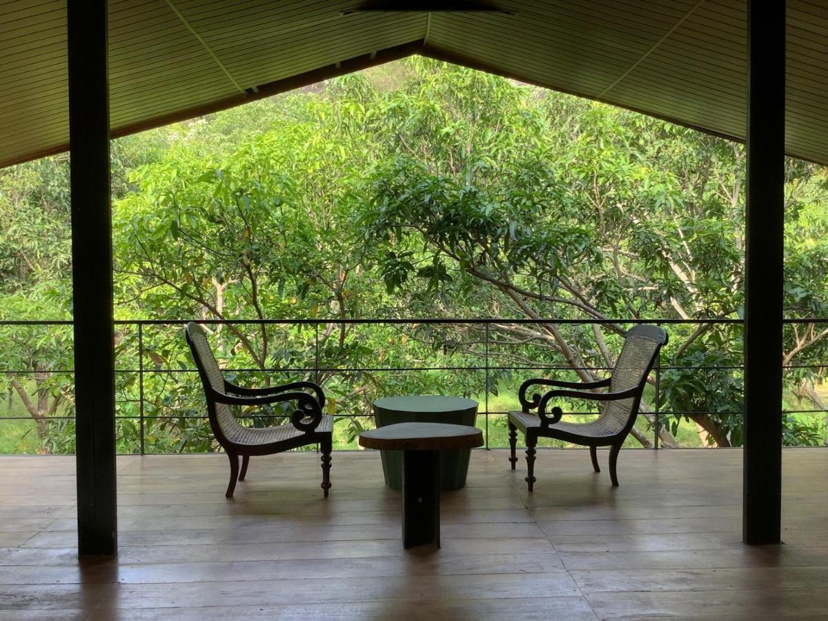Mind Body And Soul Hotel Dambulla Luaran gambar