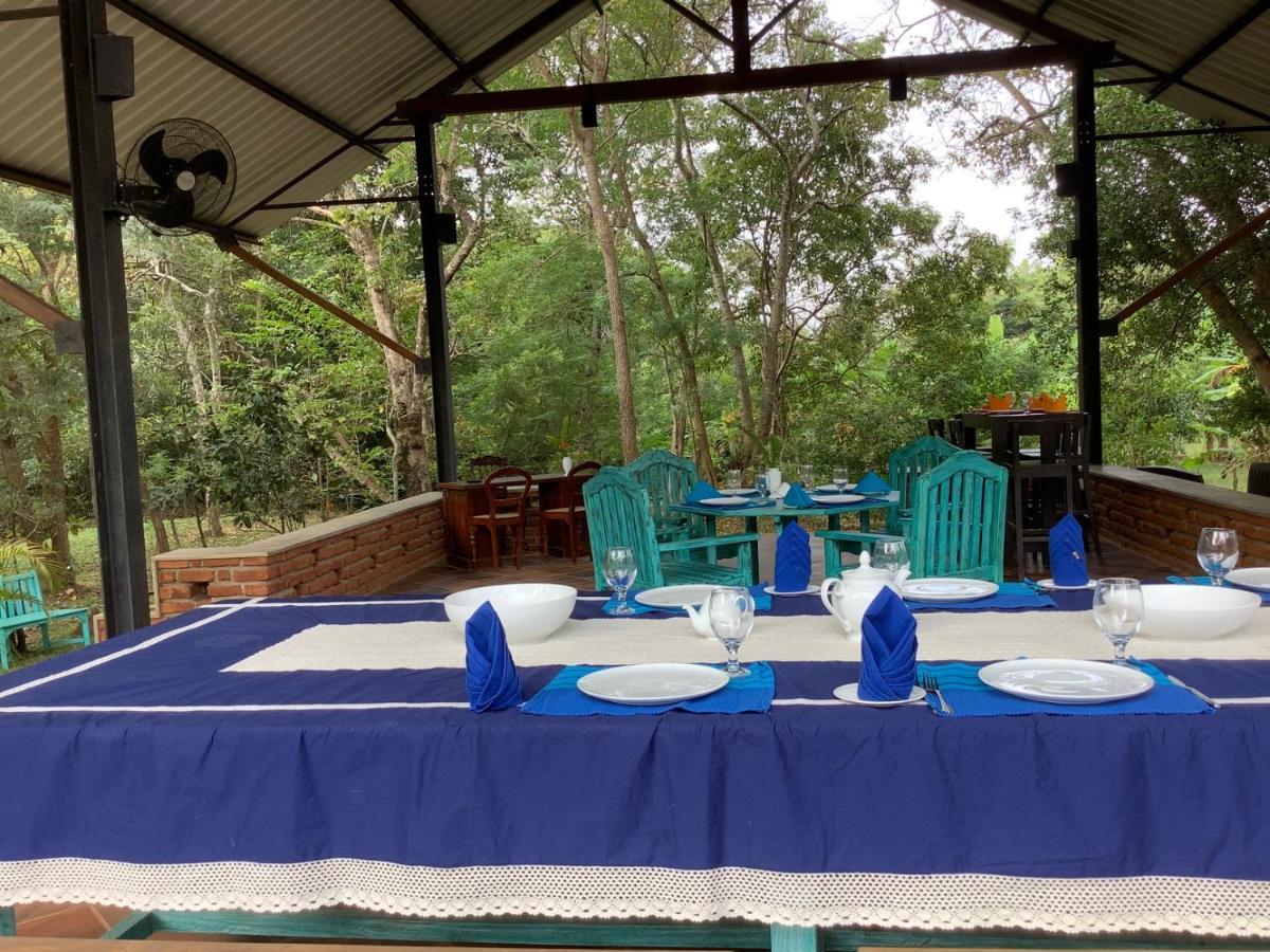Mind Body And Soul Hotel Dambulla Luaran gambar