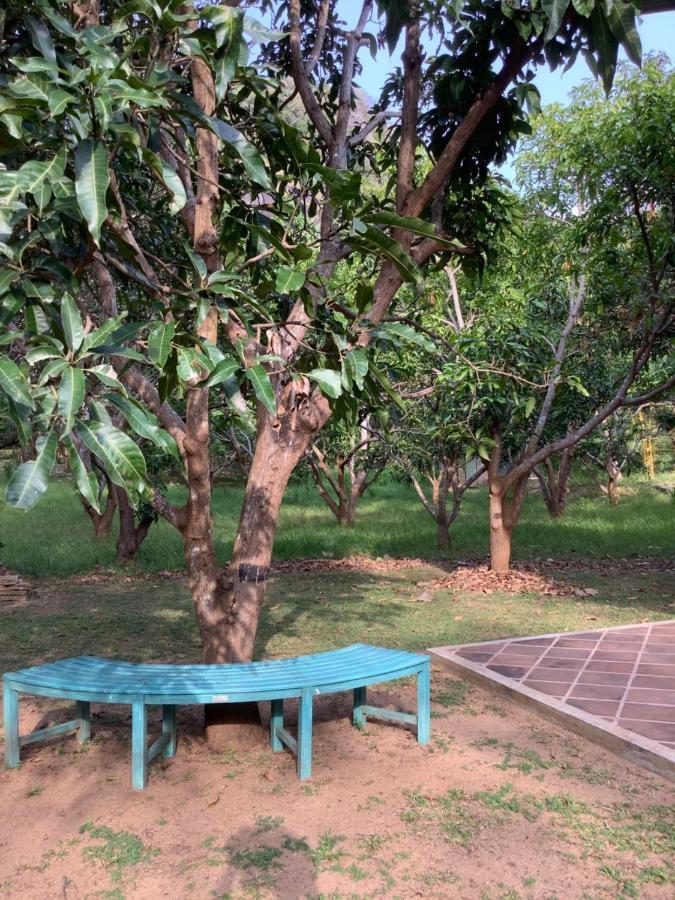 Mind Body And Soul Hotel Dambulla Luaran gambar